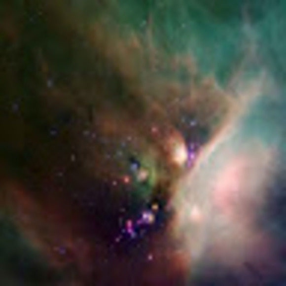 Meet your Posher, Kim - Picture 1 of 1